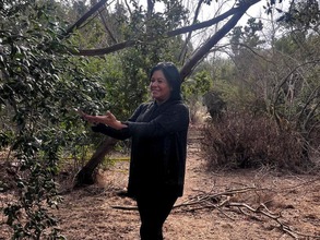 GABRIELA FERNÁNDEZ PARDO
